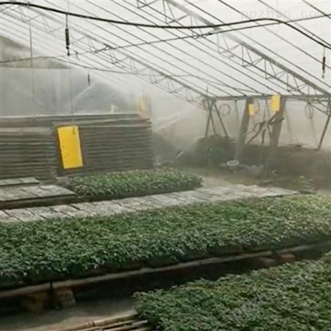 兰花养殖加湿设备 大棚喷雾加湿系统