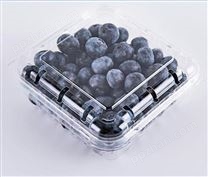 吉林五金吸塑盒加工 透明吸塑盒 水果吸塑盒