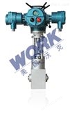 WORK-WCV进口电动蒸汽调节阀