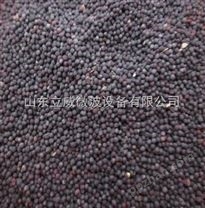 微波油菜籽干燥设备价格