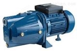 100ZX100-65清水自吸泵,自吸增压泵