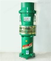 JYWQ自动搅匀潜水排污泵,无堵塞排污泵,不锈钢潜水泵