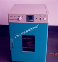 立式电热鼓风干燥烘箱 DHG系列台式、立式恒温鼓风干燥箱